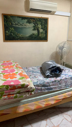 Jurong West Street 92 (Jurong West),  #587861591